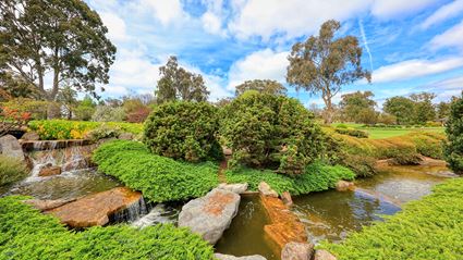 Japanese Garden - Cowra 